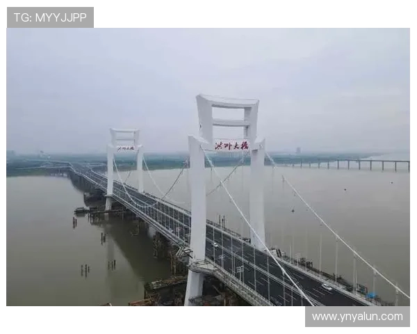 洪州大桥见证万人双向奔赴 南昌夜跑点燃全城热恋(2) 洪州大桥见证万人双向奔赴 南昌夜跑点燃全城热恋(2)